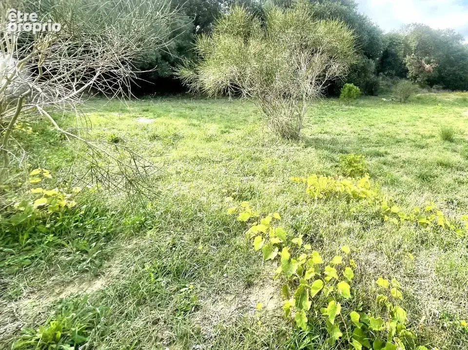 Terrain 970 m² à vendre à Canet-En-Roussillon (66140) - photo 3