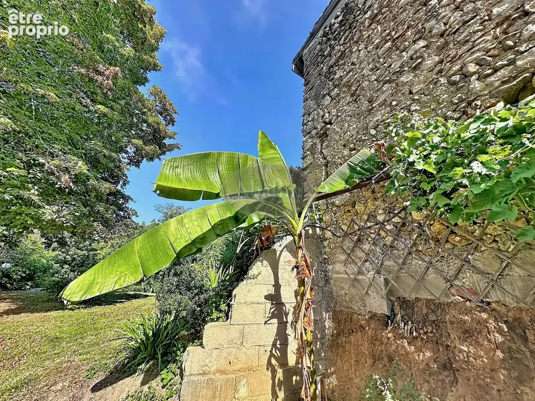 Ravissante Villageoise, atelier, jardin - photo 27
