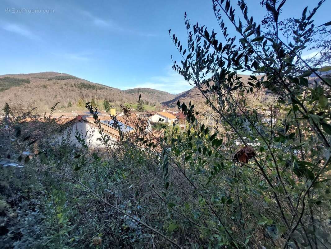 20251218152225 - Maison à ARBAS