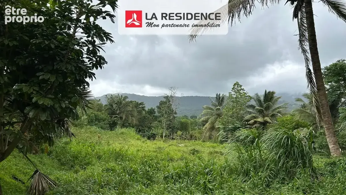 Terrain 2004 m² à Le Morne-Rouge  - photo 6