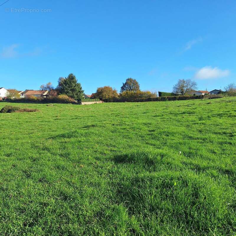 Photo 3 - Terrain à LE CREUSOT