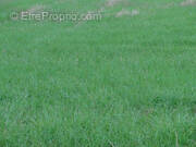 Terrain à LA CHAPELLE-NEUVE