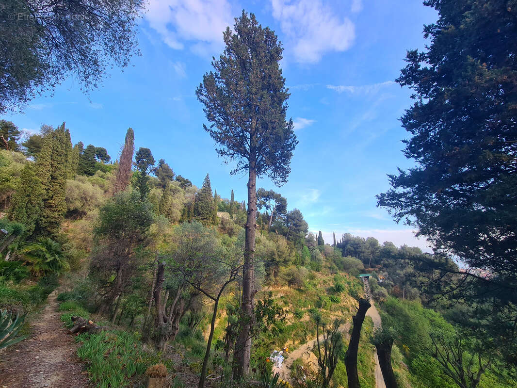 Terrain à MENTON