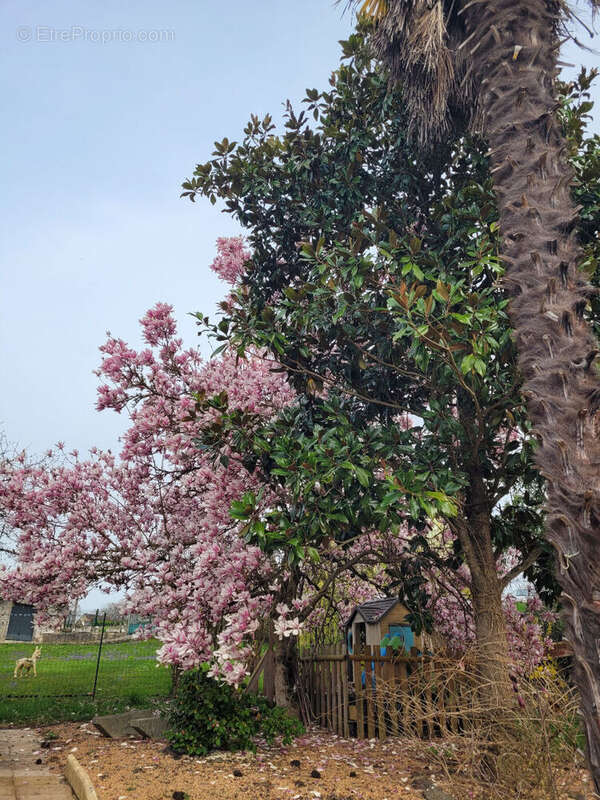 Maison à SAINT-GERMAIN-DES-FOSSES