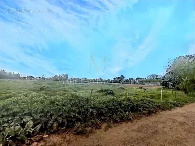 Terrain à LANSARGUES