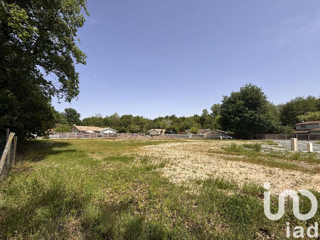Photo 3 - Terrain à AVENSAN
