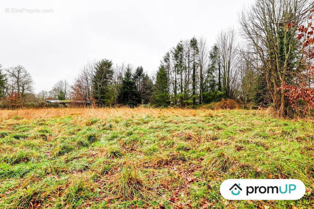 Terrain à PEYRILHAC