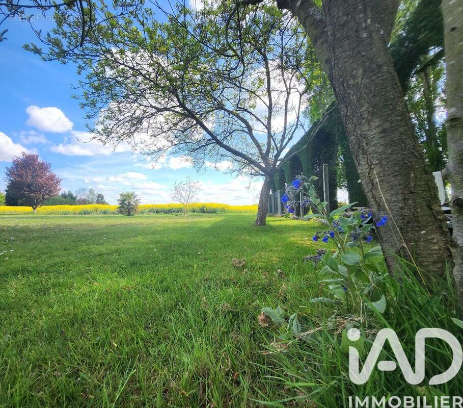 Photo 2 - Terrain à SAINT-MAURICE-MONTCOURONNE