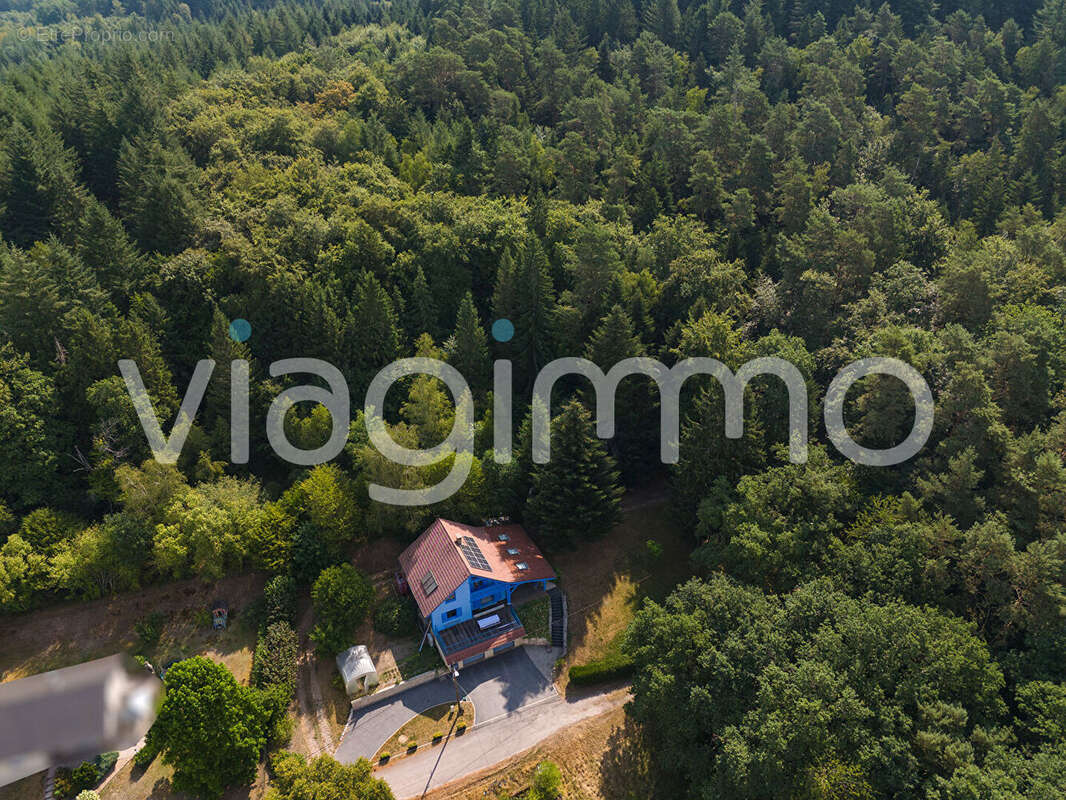 Superbe Chalet à DINOZE  dans un cadre de vie privilégié - photo 2