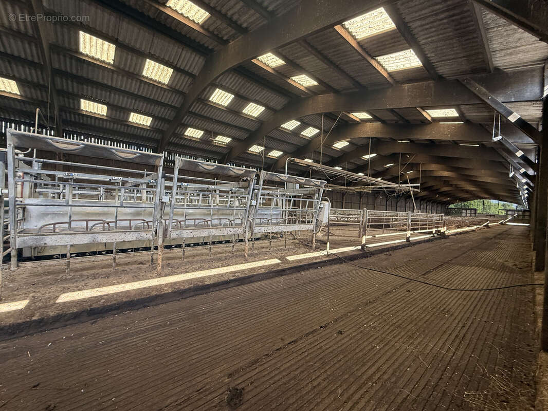 Maison à MONTREUIL-SUR-LOZON