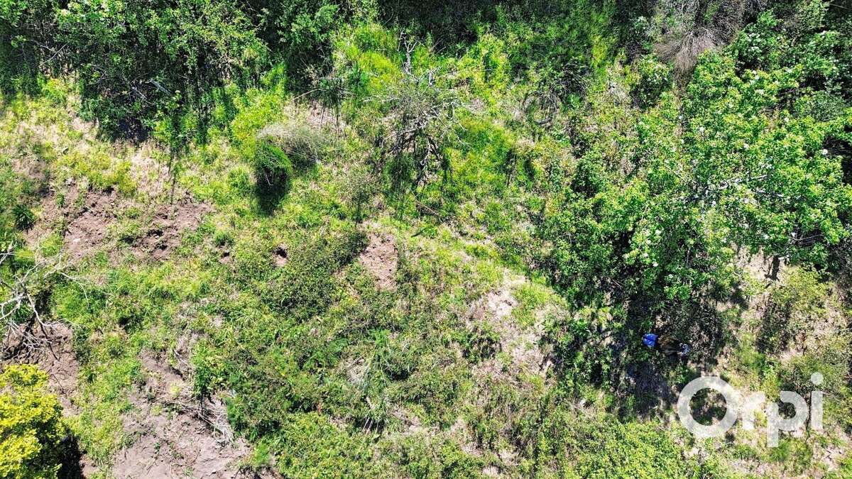 Terrain à PORTO-VECCHIO