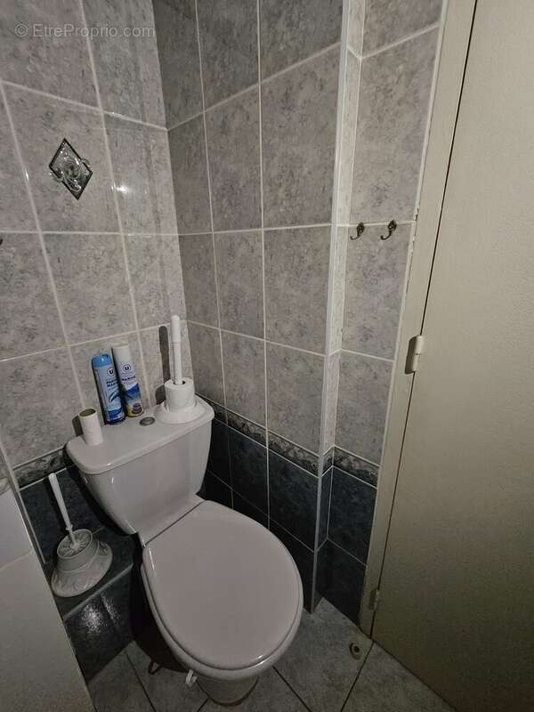 wc dans la salle d'eau  - Appartement à MONTCLAR