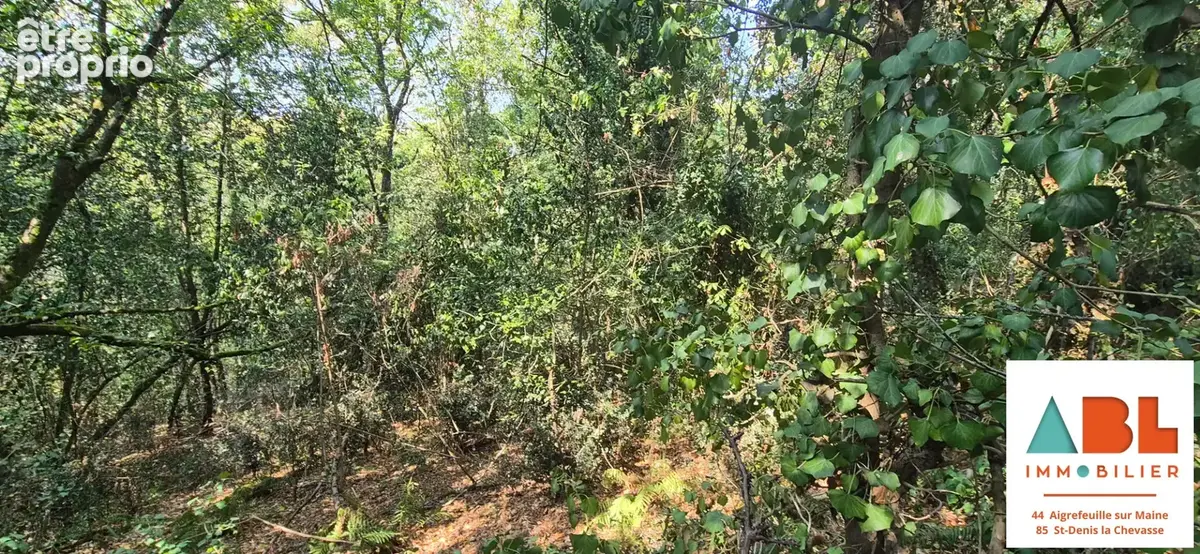 Terrain de loisirs boisé en bord de maine  1 337 m² - photo 4