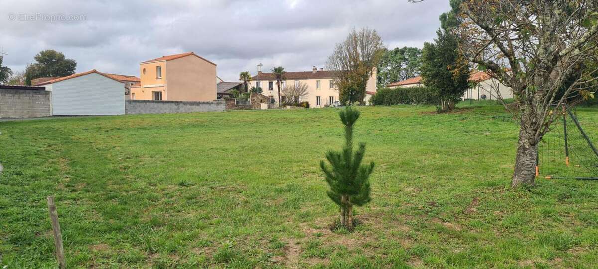 Terrain constructible, libre de constructeur, non viabilisé, Gorges 1161 M² avec 401 M² en zone Uc - photo 3