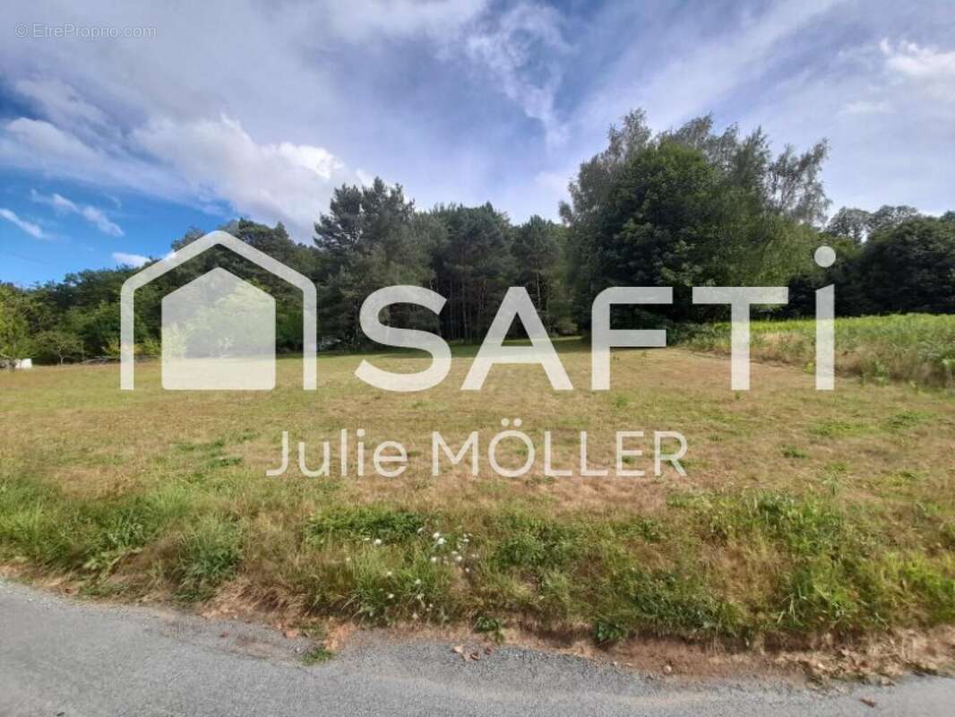 Photo 2 - Terrain à MONTAIGUT-LE-BLANC