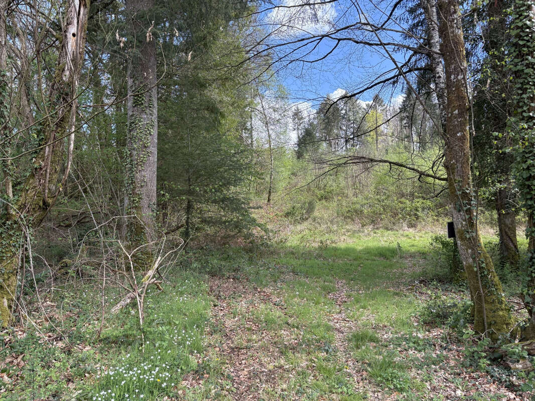 Maison à CHATEAU-CHERVIX