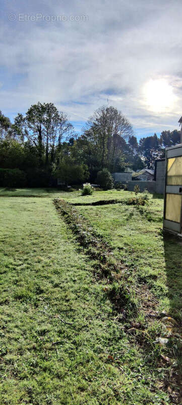 Terrain à VIGNEUX-DE-BRETAGNE
