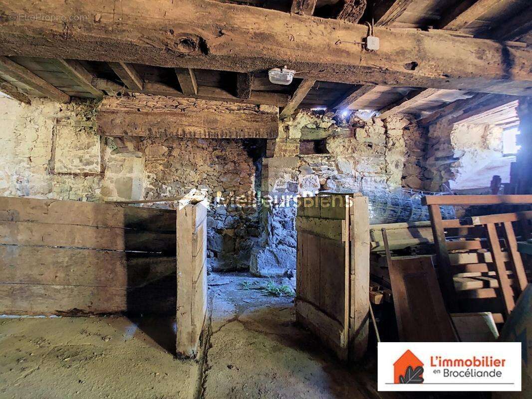 Maison à MAURE-DE-BRETAGNE
