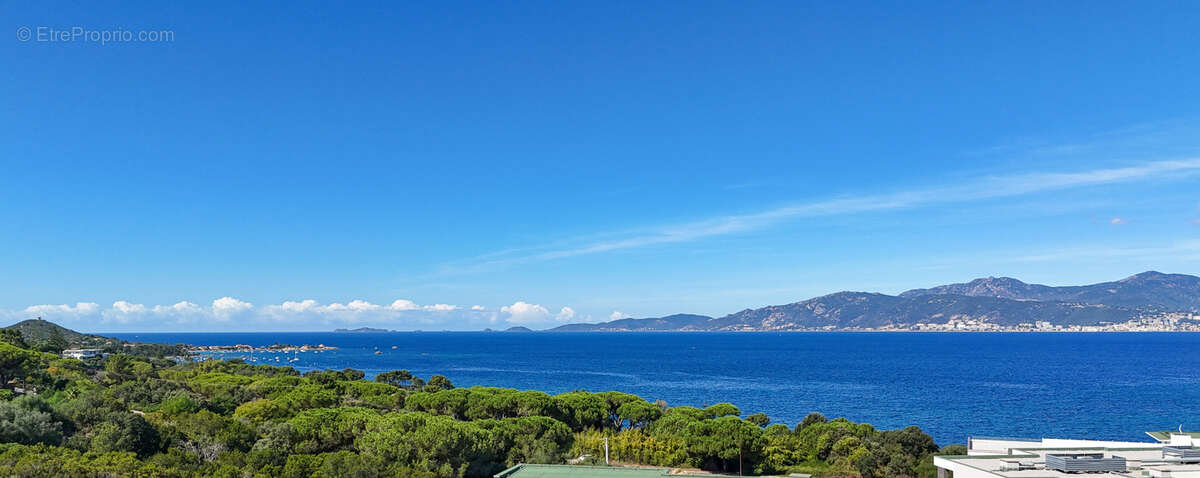 Appartement à PIETROSELLA