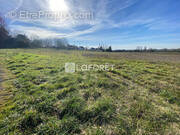 Terrain à DOUE-LA-FONTAINE