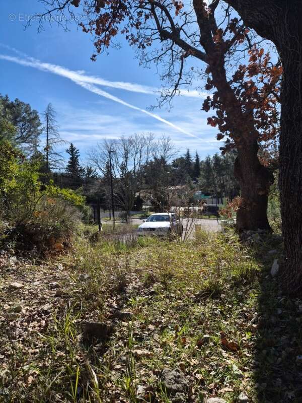 Terrain à LA BASTIDE-DES-JOURDANS