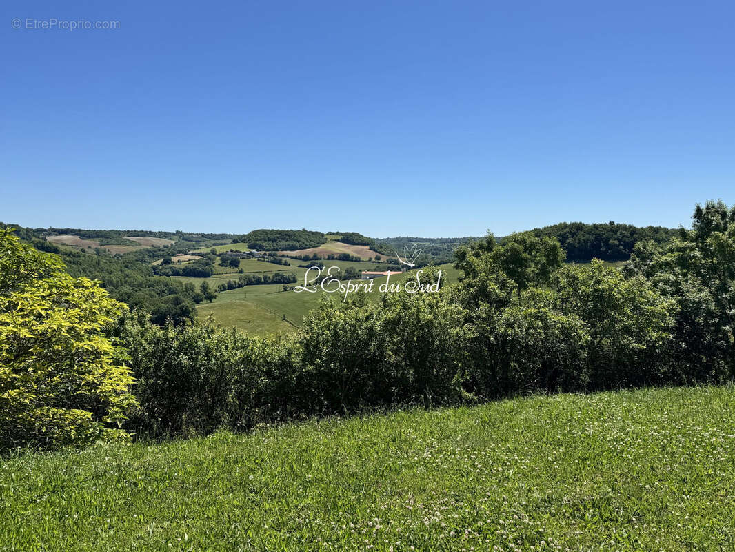 Maison 325 m² à Cordes-Sur-Ciel  - photo 7