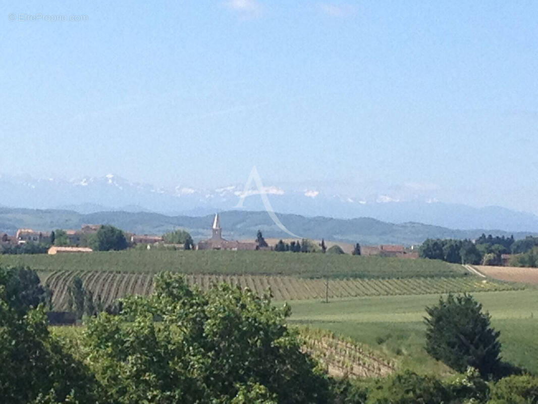 Terrain à LASSERRE-DE-PROUILLE