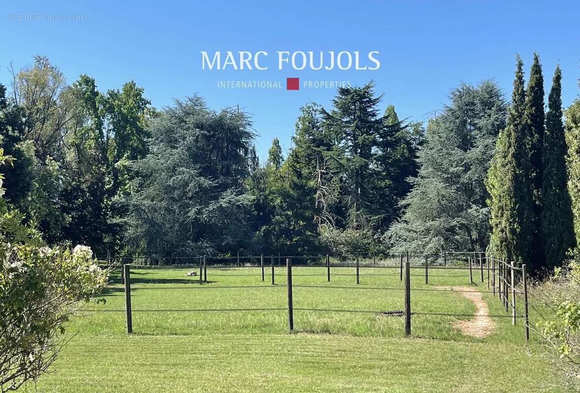 Élégante Propriété Équestre proche Barbizon - photo 22