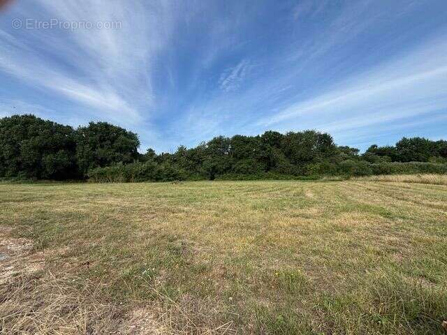 Terrain à SAINT-PALAIS-SUR-MER