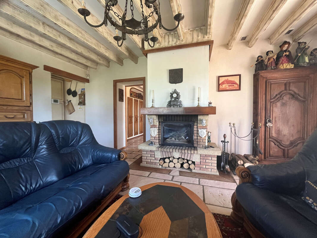 Ferme bressane tres au calme , superbe vue - photo 14