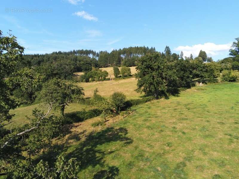 Maison à LA CLAYETTE