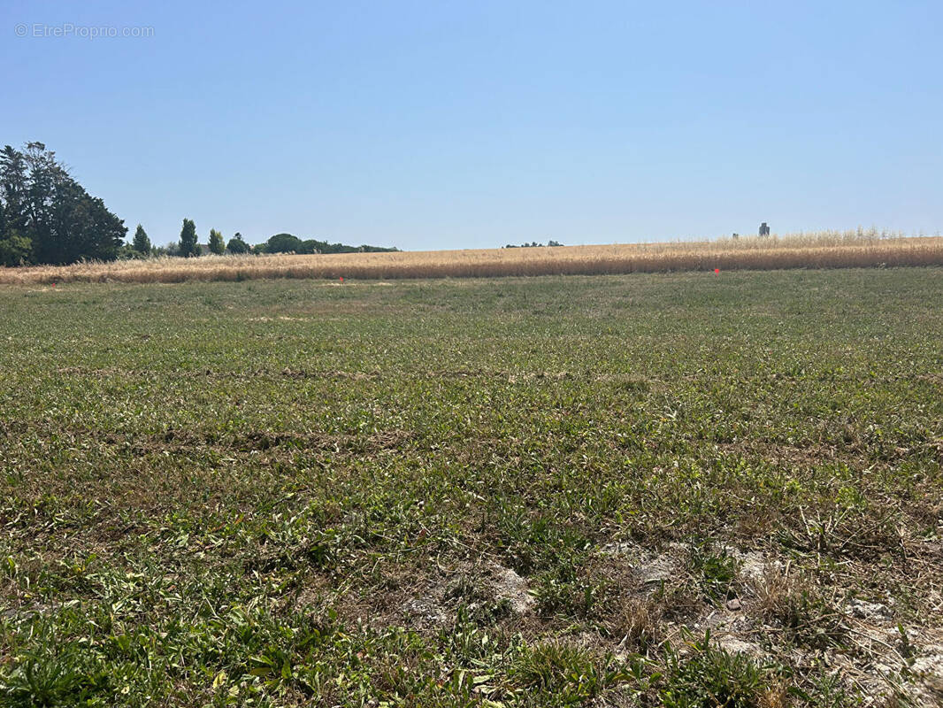 Terrain à MORNAC-SUR-SEUDRE