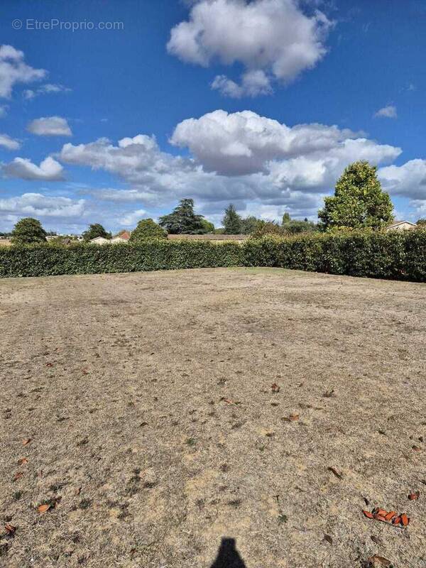 Terrain à CHATELLERAULT