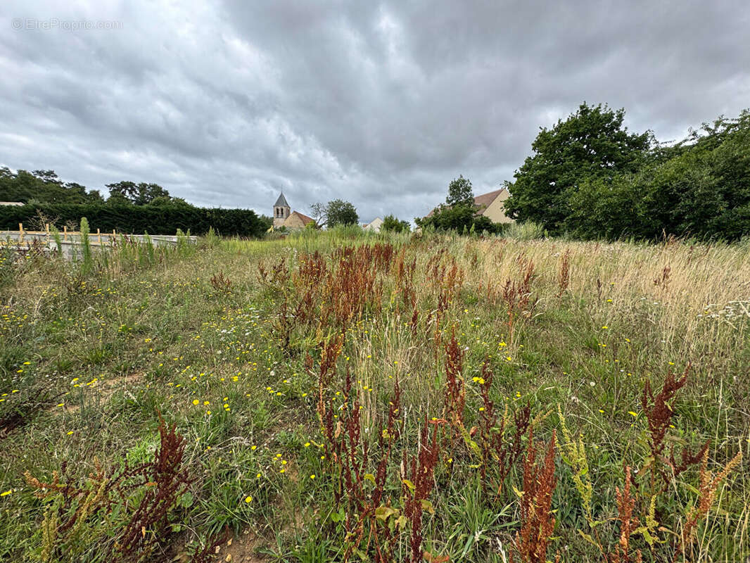 Terrain à BAZOCHES-SUR-GUYONNE