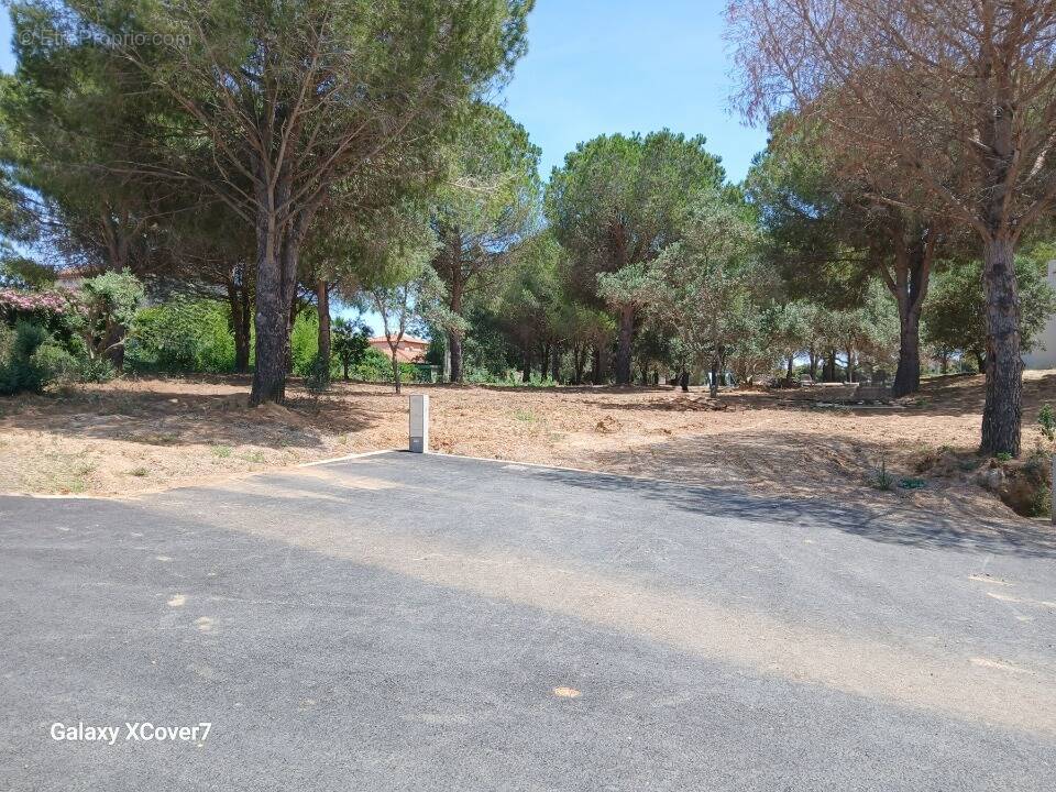 Terrain à PERPIGNAN