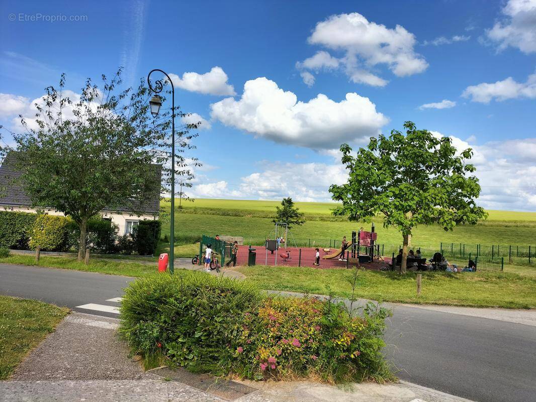 Terrain à SAVIGNIES