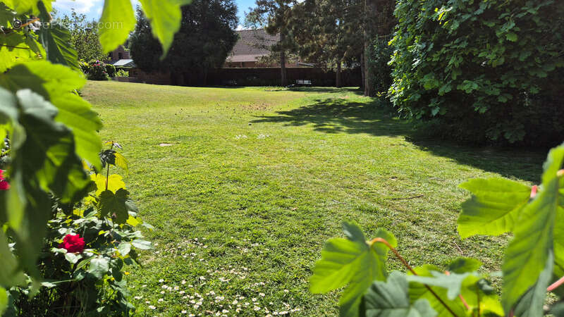 Maison à WERVICQ-SUD