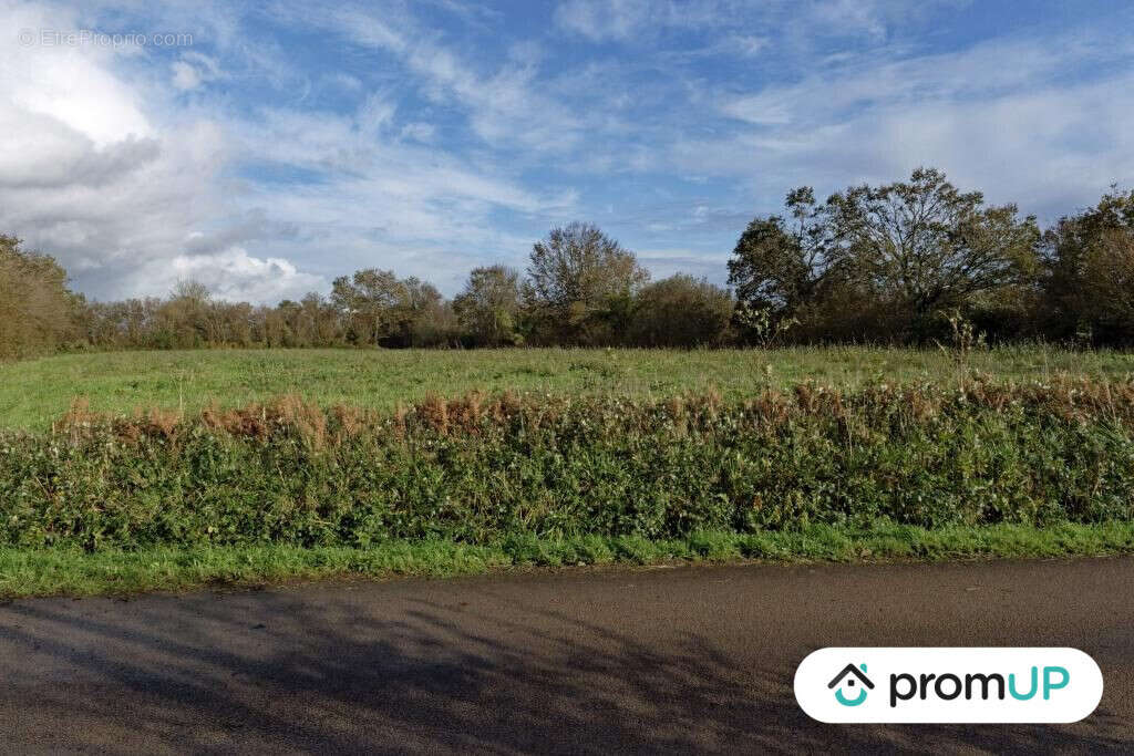 Terrain à LOQUEFFRET