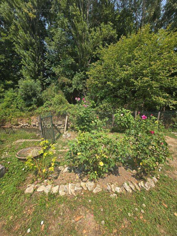 Maison À Vendre - photo 14