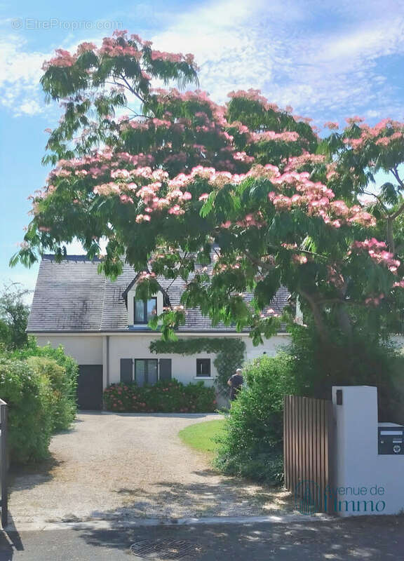Maison à SAINT-BARTHELEMY-D'ANJOU