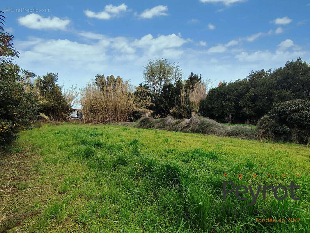 Terrain à PEZILLA-LA-RIVIERE