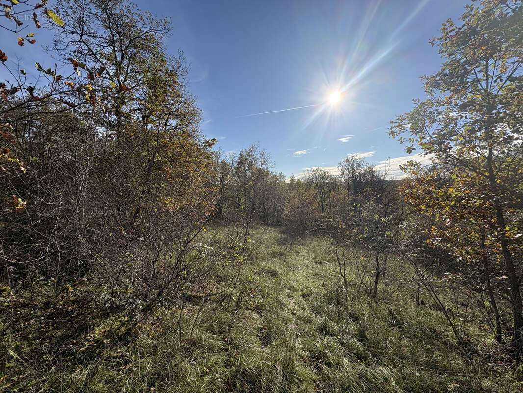 Terrain à CHASTEAUX