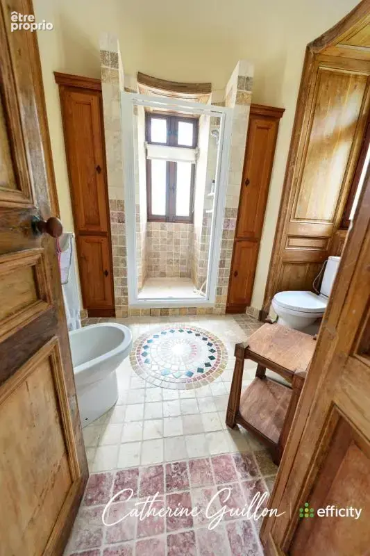Maison 18 pièces 560 m² à vendre à Ingrandes (86220) - photo 18