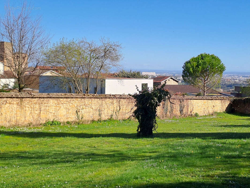 Terrain à SAINT-CYR-AU-MONT-D'OR