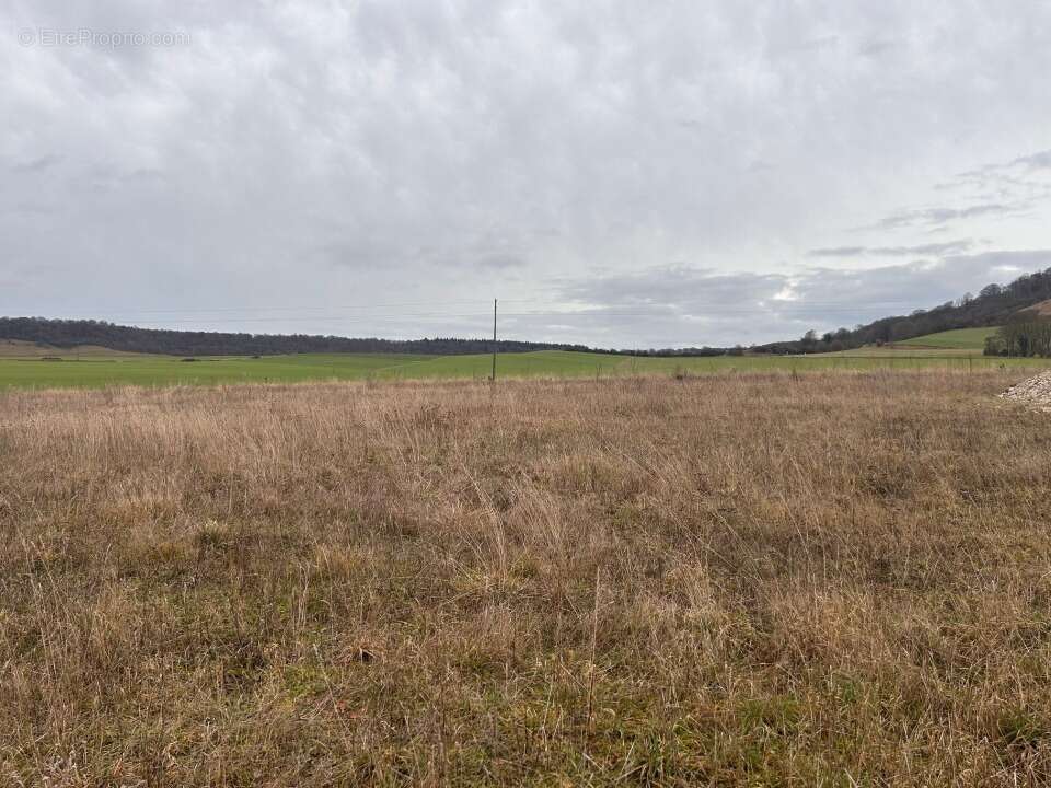 Terrain 723 m² à Mesnieres-En-Bray  - photo 3