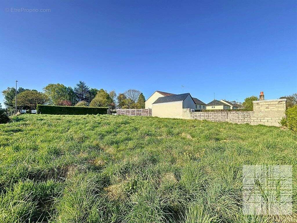 Terrain à CHAILLAND