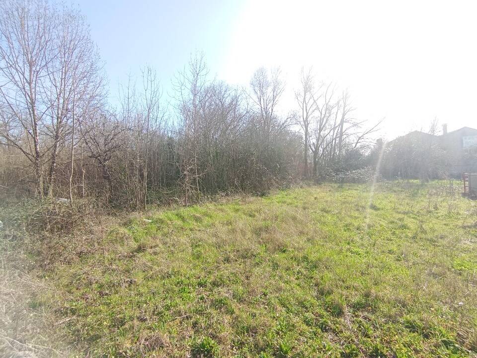 Terrain à CHAMPNIERS