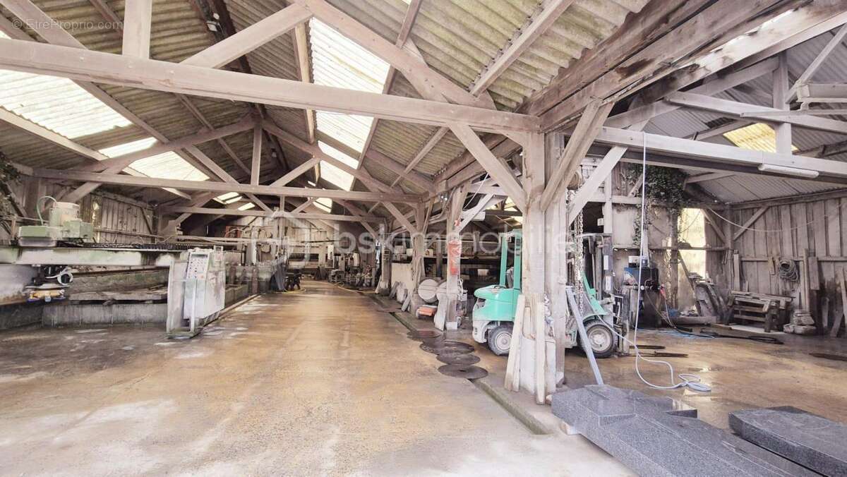 Commerce à SAINT-GERMAIN-EN-COGLES