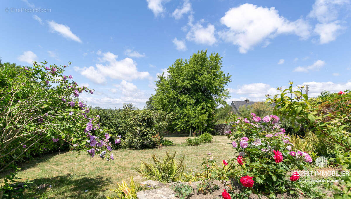 Moëlan-sur-Mer - Maison en pierre, sentiers à pied - photo 15