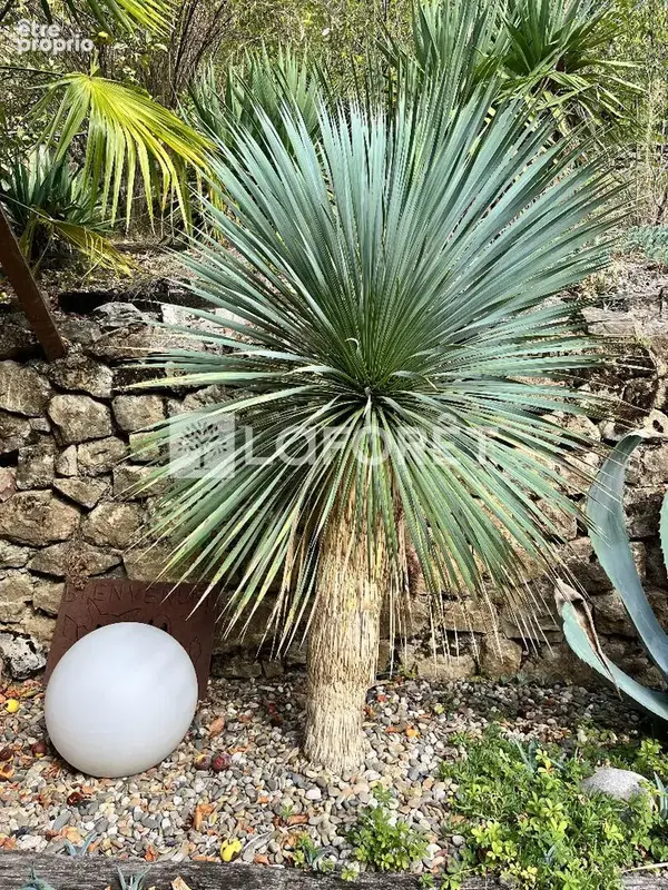 Salles-la-source - le petit paradis - photo 7